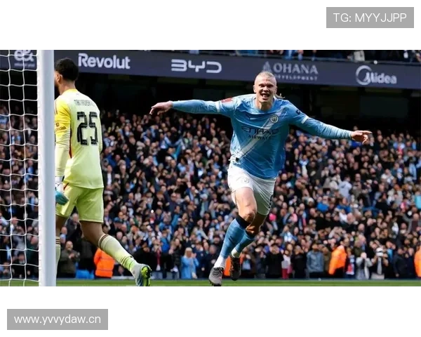 萨拉赫与哈兰德进球效率及位置差异分析